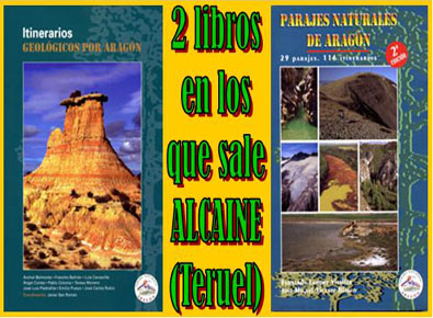 20091209230842-libros-alcaine-teruel-.jpg