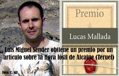 Un artículo sobre las plantas fósiles de Alcaine obtiene el Premio "Lucas Mallada"