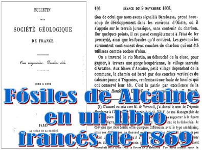 ALCAINE EN PUBLICACIONES ANTIGUAS (5). Fósiles de Alcaine en un libro francés de geología de 1869