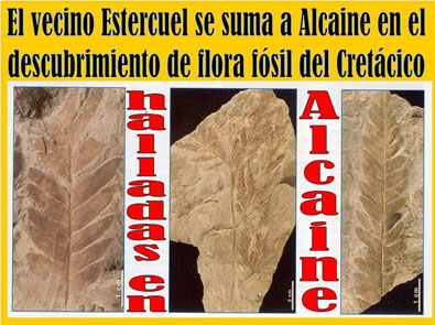 20121128222944-alcaine-estercuel-flora-fosil.jpg