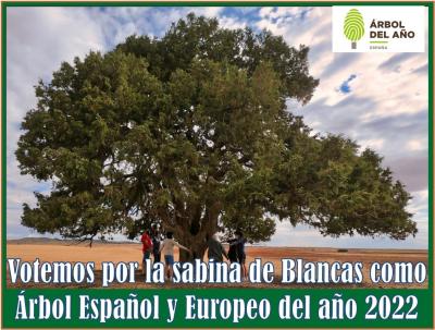 Teruel y Aragón apoyan la candidatura de la sabina de Blancas como Árbol Europeo del Año